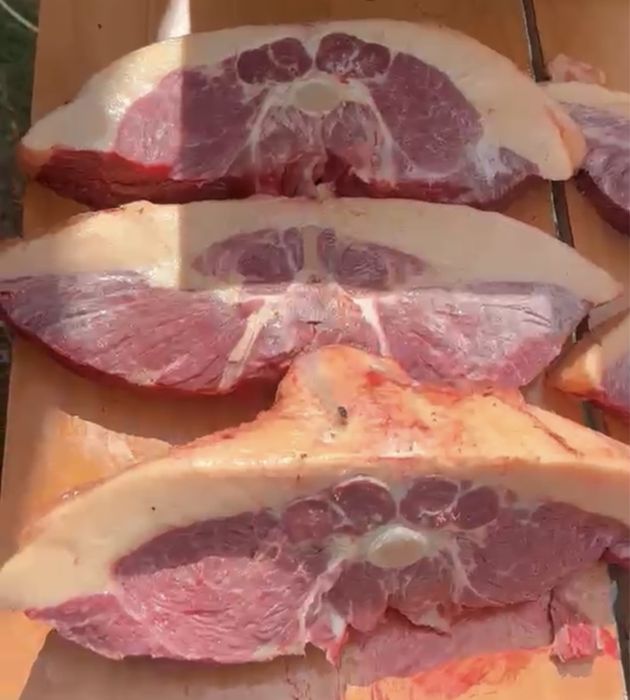 Жылкы еті|мясо канины