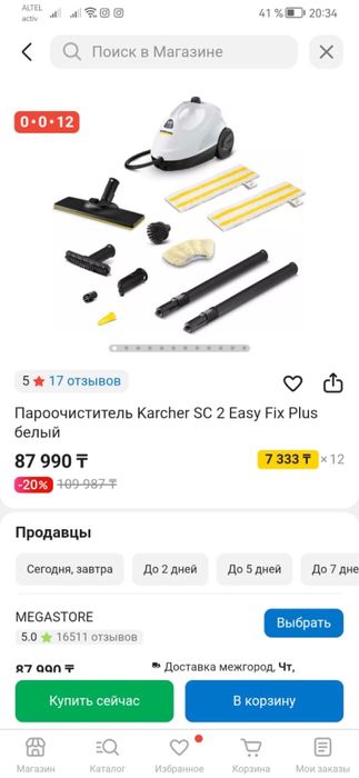 Пароочиститель karcher