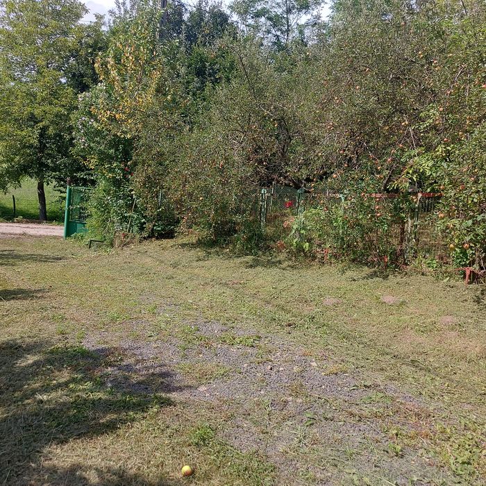 Defrisari,cosit oferim servicii toaletare complete
