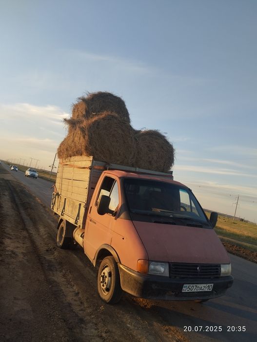 грузоперевозки скотовоз