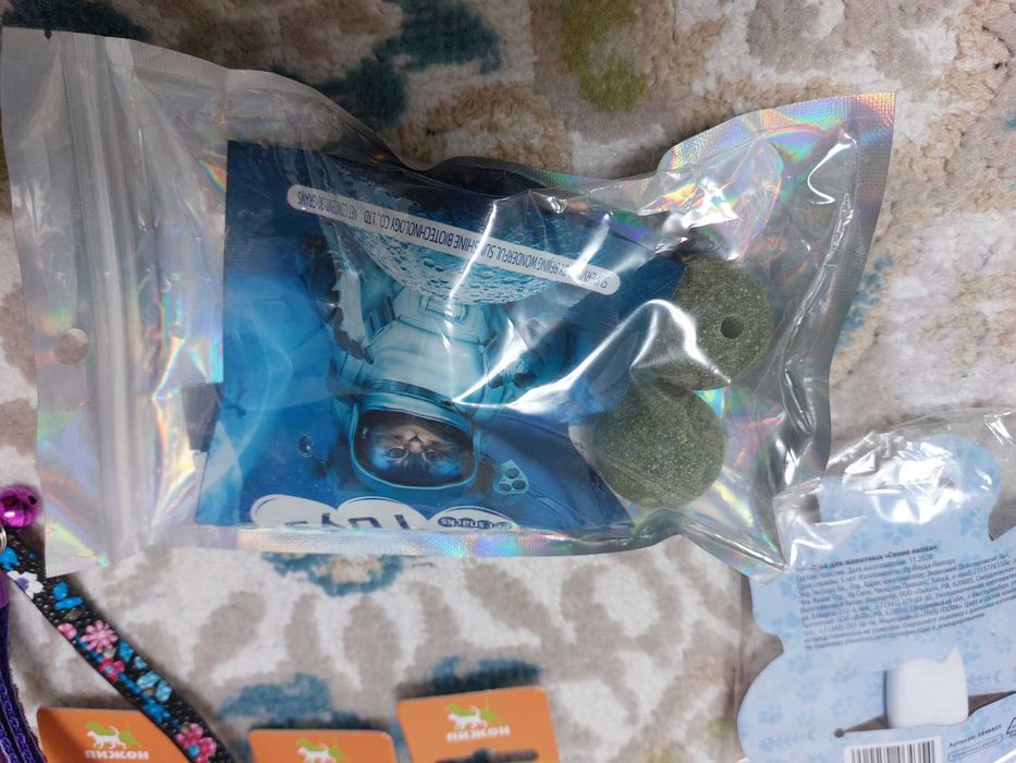 Ошейники для кошек и котят