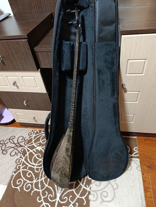 Профессионалды домбыра