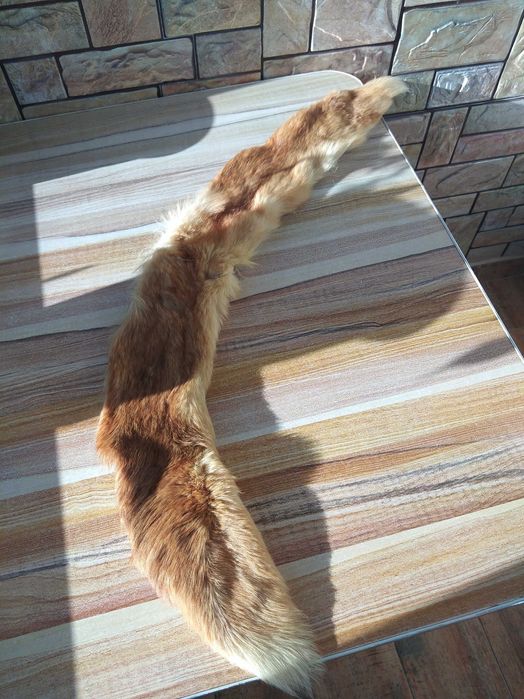 Дамска кожена шапка /калпак/ и кожена яка и двете са от лисица.