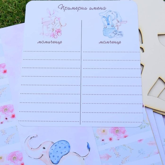 Дневниче за бременността