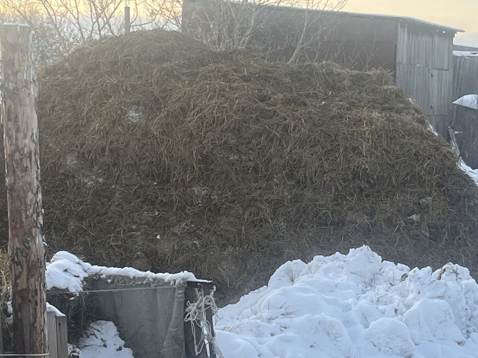 Вывоз навоз чистый недорого звоните