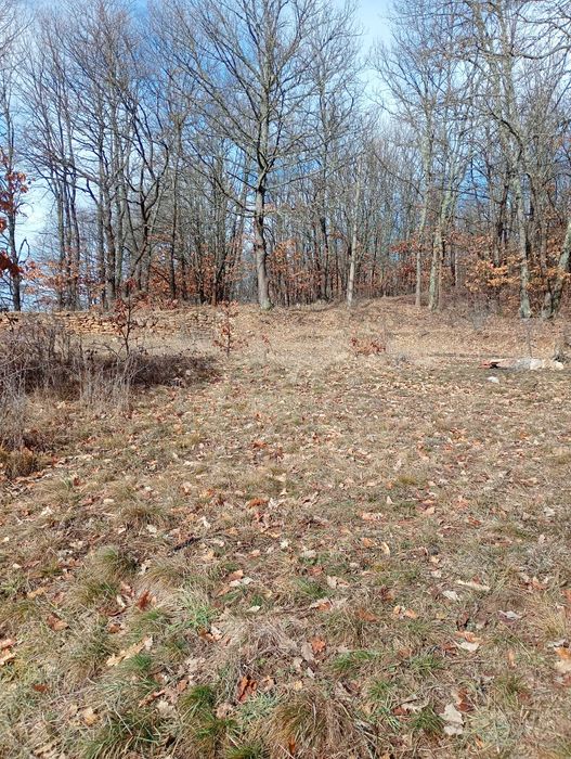 Имот в с.Дреново