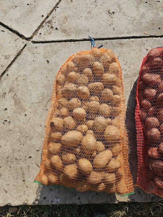 Cartofi consum alb carrera si rosu bellarosa +50 ambalat saci 25 kg