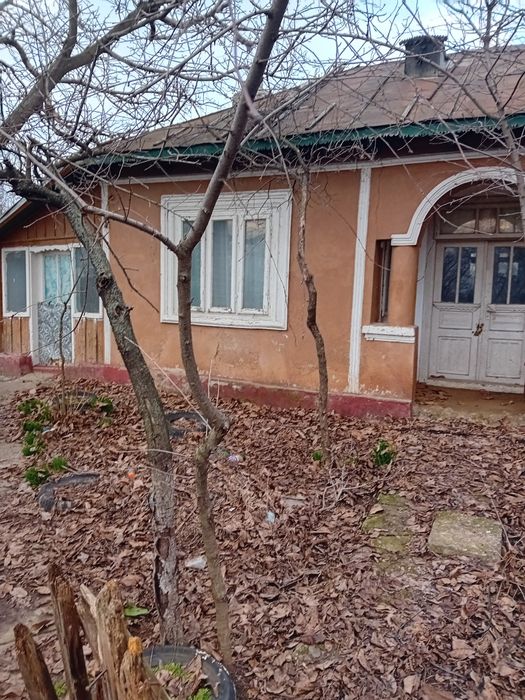 Casa de inchiriat la tara