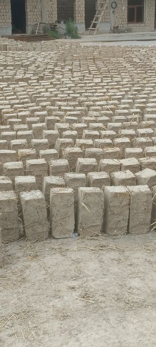 Loy blok Samarqand