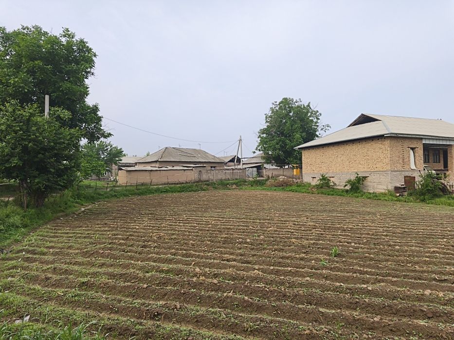Hujatlari joyida