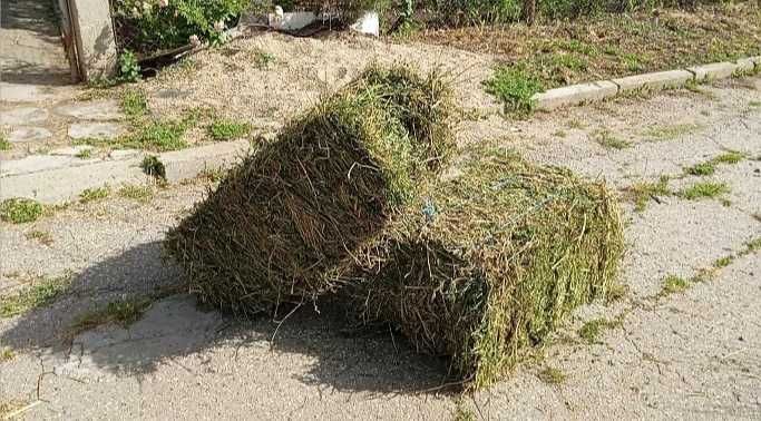 Бали люцерна и сено.