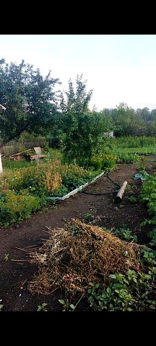 Продам участок земли с домиком