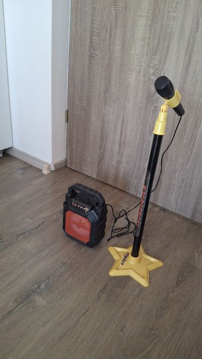 Set microfon boxa copii