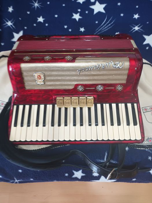 Acordeon Marinucci 120 basi