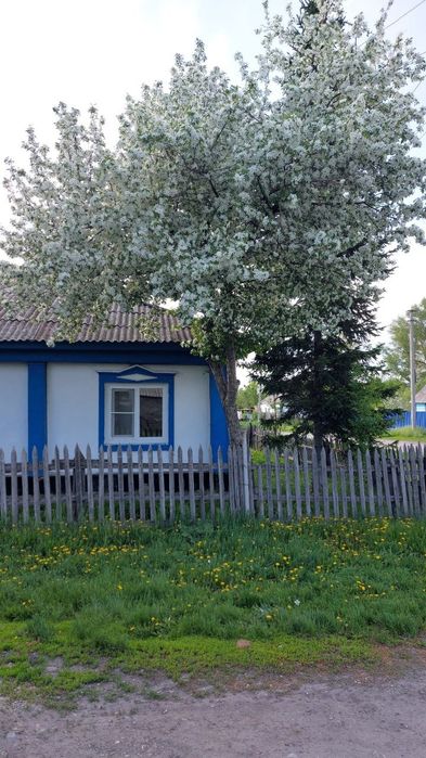 Продам дом с.Украинка