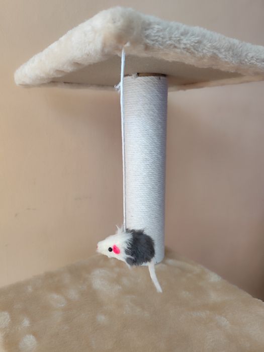 Нова котешка катерушка
