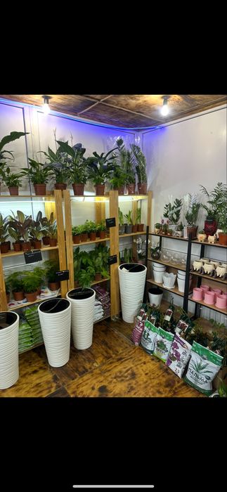 Продам действующий бизнес