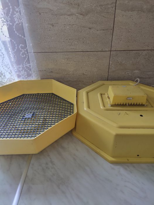 Vând incubator cleo 5