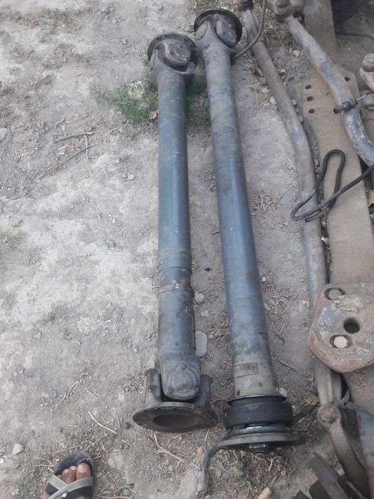 Кардон на волва паравоз