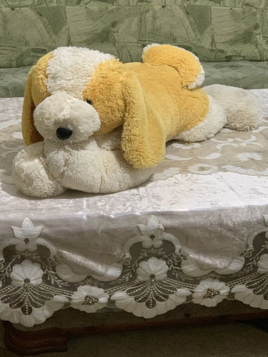 Мягкая игрушка сотилади 5 та дона