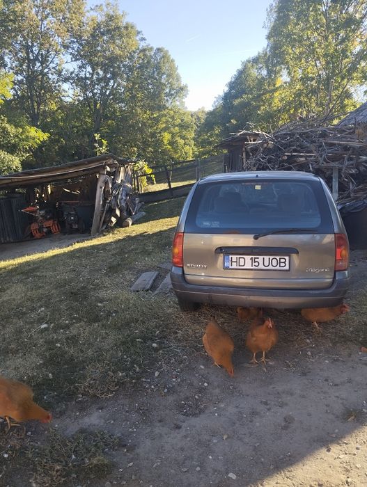 Vând 2 renouri separat s-au ambele