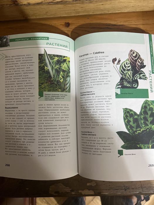 книги по цветоводству