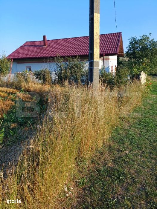 Casa de vanzare, 60 mp, teren, 4.717 mp, comuna Zvoristea