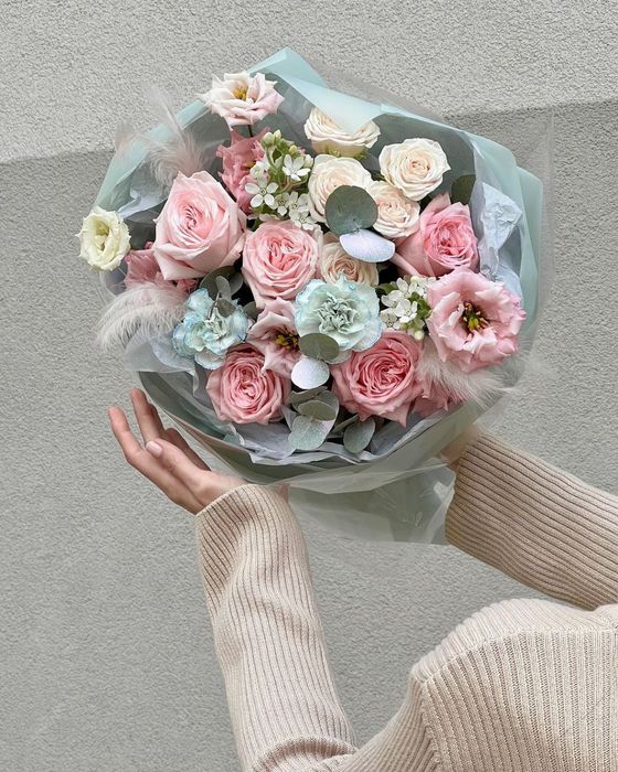 Пересадка и уход комнатных растений