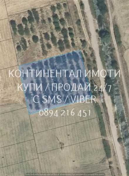 Кодк 70026. Черешова градина на около 1км от селото - лесен достъп