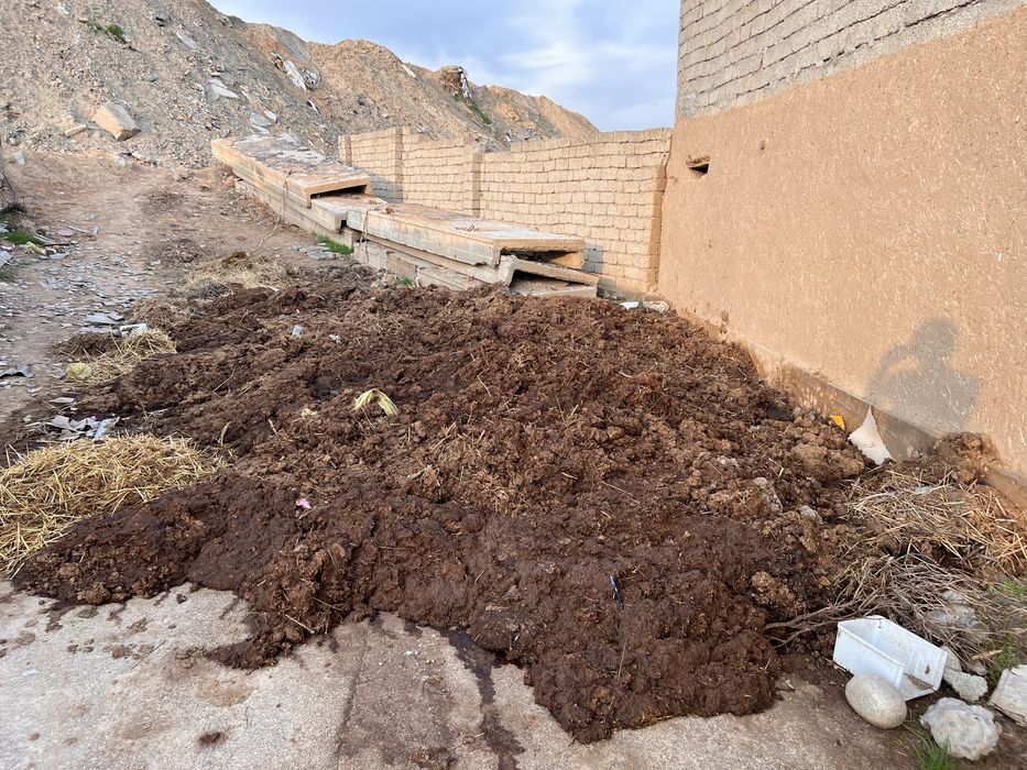 O’g’it  go’ng qivray