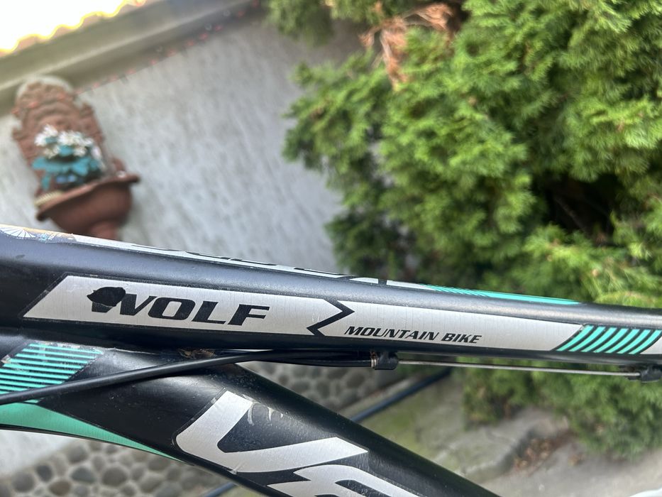 Wolf Mountain Bike