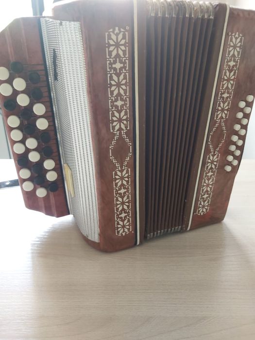 Баян небольшой (детский)