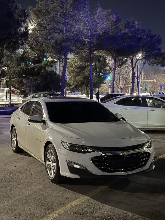 Malibu toza premier