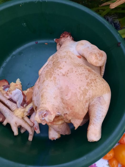 Vand gaini crescute natural,carcasa