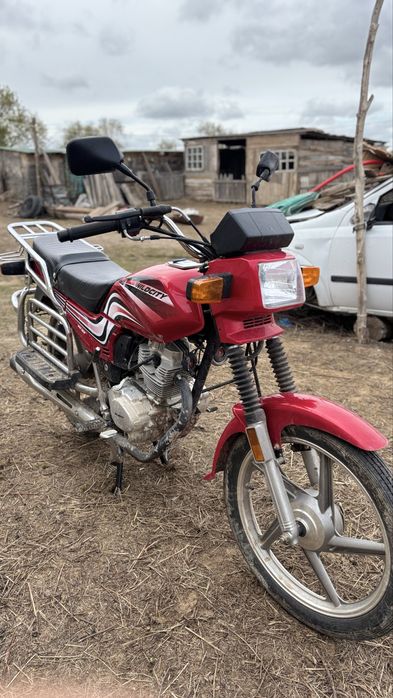 wild city 150 куб