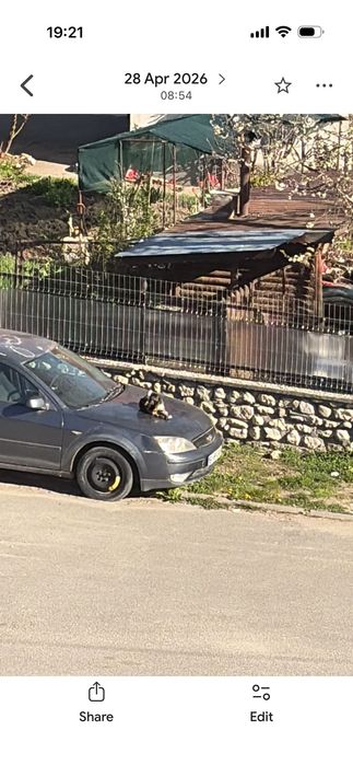 OPEL Unknown Model 2003