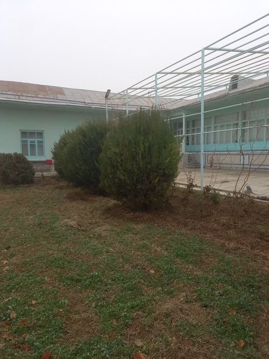Archa sotiladi balandligi 2mt diametri 1.5mt atrofida