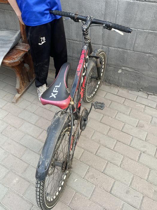 Велик почти идиальный