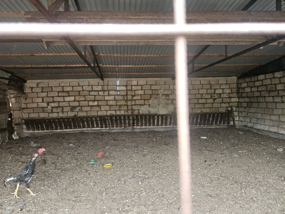 Дара тұрған жер үй сатылады