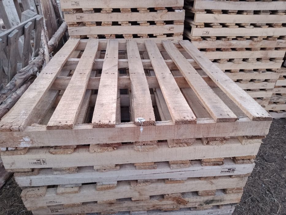 Ассалаумағалейкум