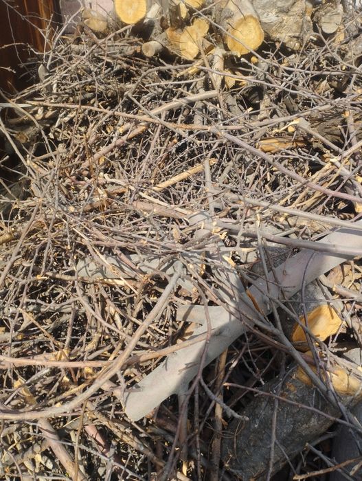 Дрова бесплатно самовывоз