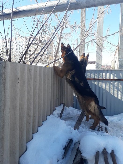 Приглашение на вязку.