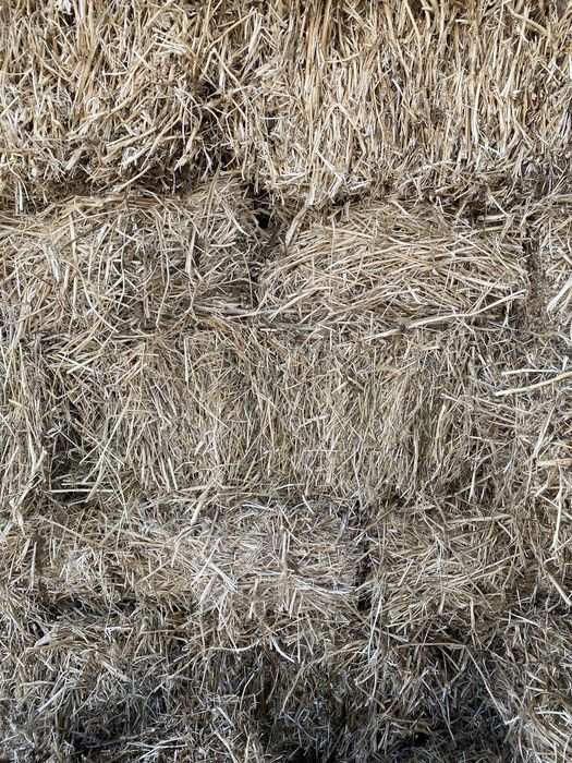 Продам сено, соевая салома