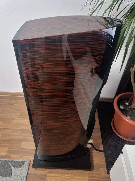 DALI Epicon 6 Ruby Makassar- ca noi!