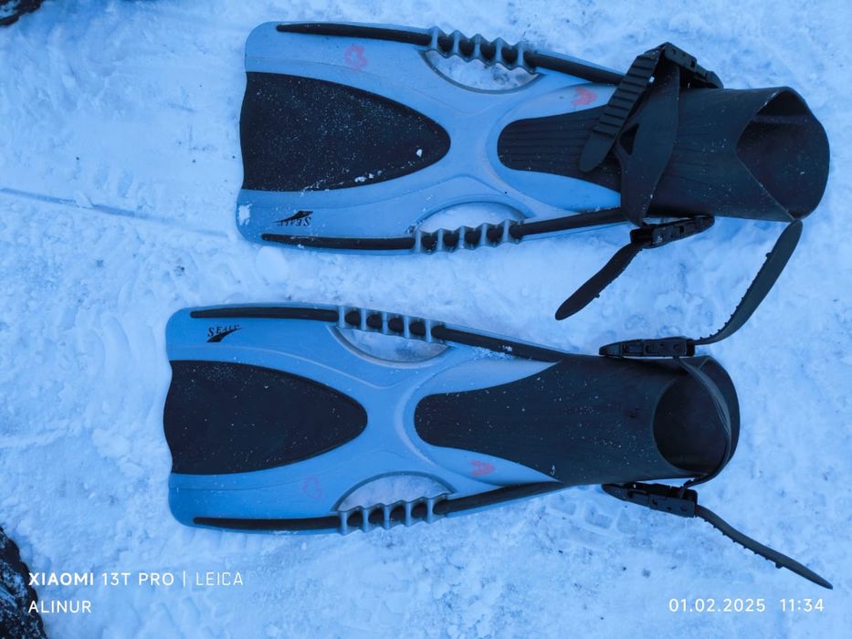 Ласты для плавание