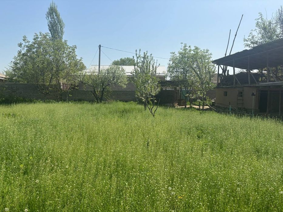 Ер сотилади 5 сотох,Юкори Чирчик тумани Тукумбай маххаллада