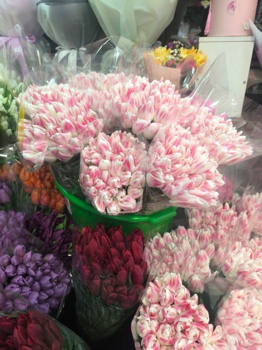 Тюльпаны оптом и в розницу