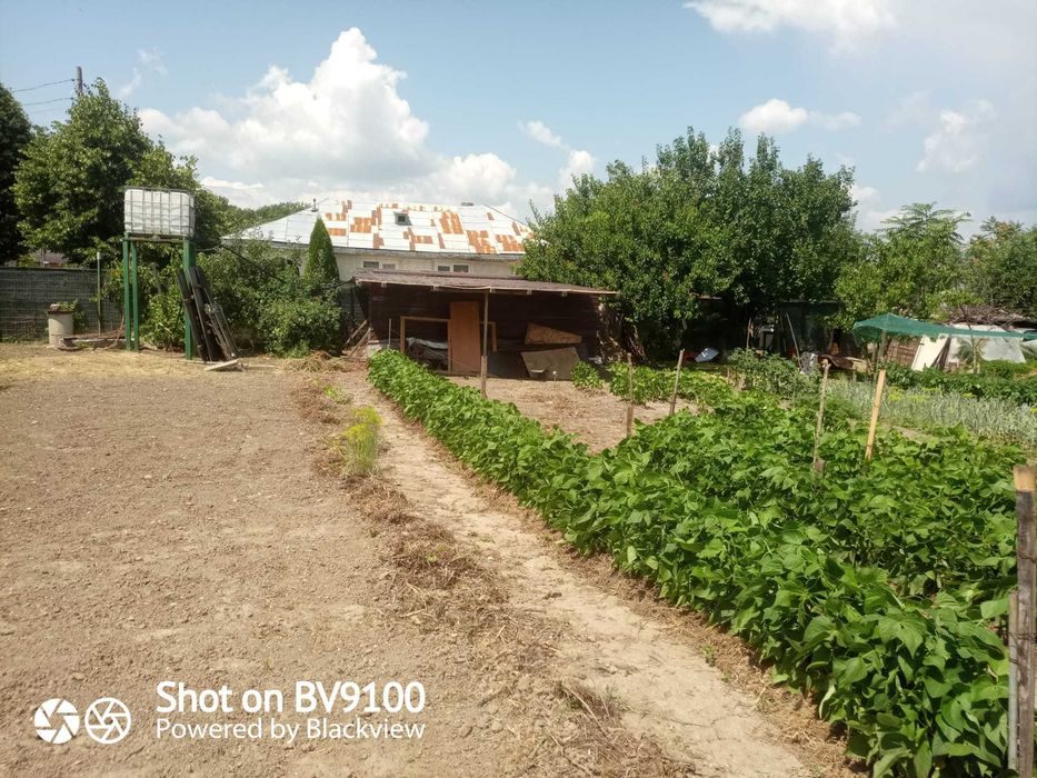 Casă din cărămidă cu teren generos și potențial excelent de dezvoltare – Zona centru Sihlea (Vrancea)