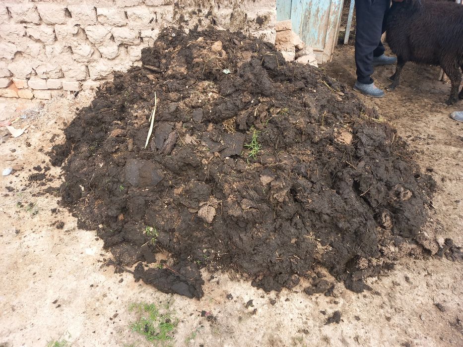 Tabiiy qo'y go‘ngi (nuri) sotiladi