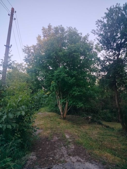 Продава се Парцел в София, Красна поляна 1 - 1277 кв.м за 6 €/кв.м - Снимка #10